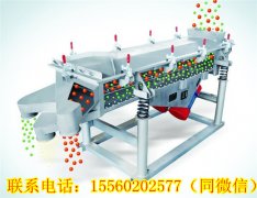 湖南王總需要的DZSF直線振動篩今天發貨！